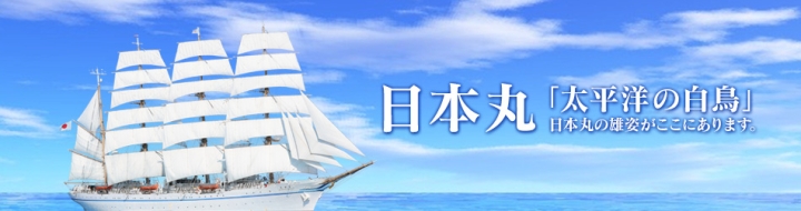 にっぽん丸　帆船　日本丸　ステッカー　船